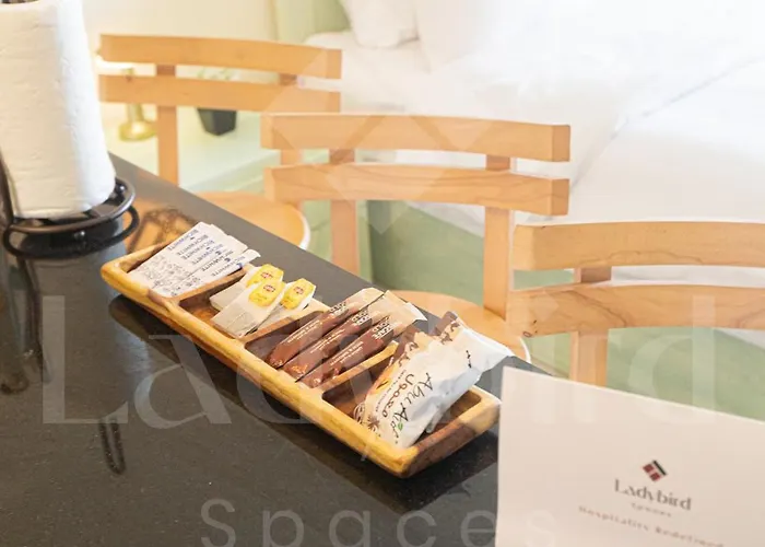Ladybird - Veranda Loft Appartement *